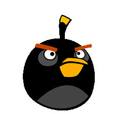 black angry bird